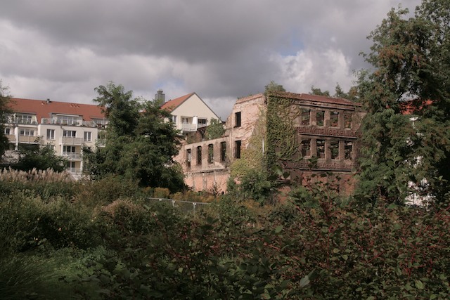 Dresden 7